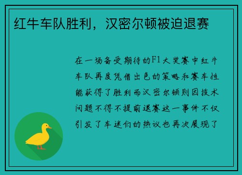 红牛车队胜利，汉密尔顿被迫退赛